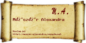 Mészár Alexandra névjegykártya